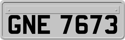 GNE7673