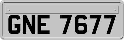 GNE7677