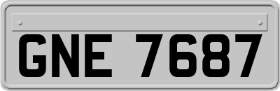 GNE7687