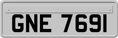GNE7691