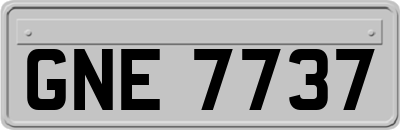 GNE7737