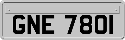 GNE7801