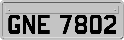 GNE7802