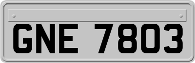 GNE7803