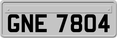 GNE7804