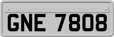 GNE7808