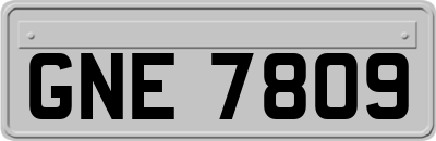 GNE7809