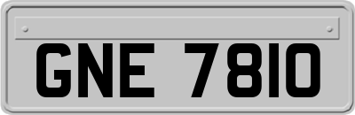 GNE7810