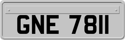 GNE7811