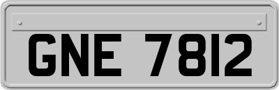 GNE7812