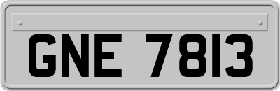 GNE7813