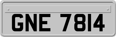 GNE7814