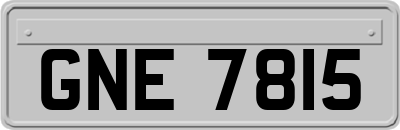 GNE7815