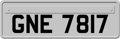 GNE7817