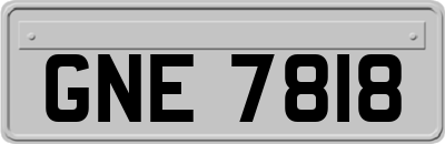 GNE7818