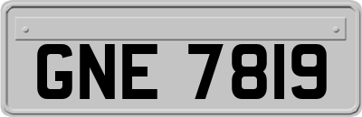 GNE7819