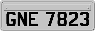 GNE7823