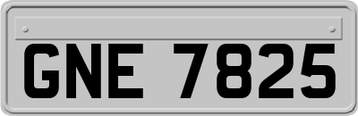 GNE7825