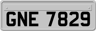 GNE7829