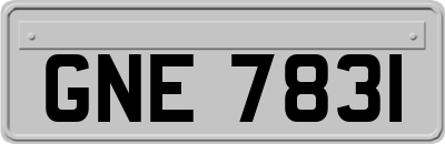 GNE7831