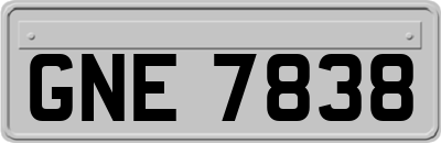 GNE7838