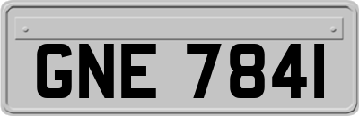 GNE7841