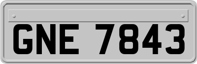 GNE7843