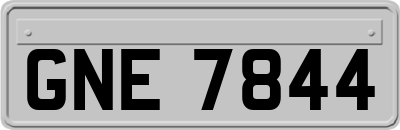 GNE7844