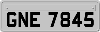 GNE7845