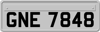 GNE7848