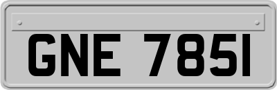 GNE7851
