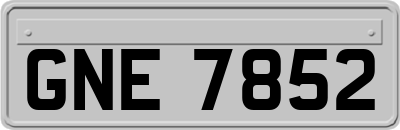 GNE7852