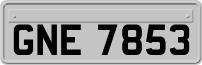 GNE7853