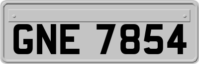 GNE7854