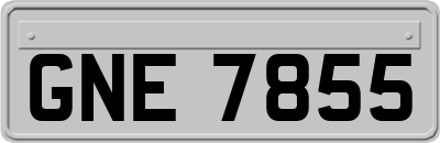 GNE7855