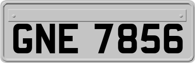 GNE7856