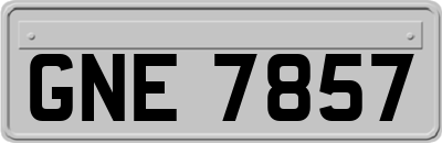 GNE7857