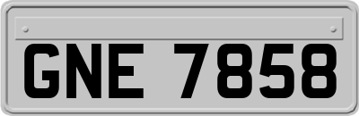GNE7858