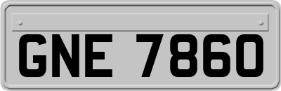 GNE7860