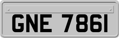 GNE7861