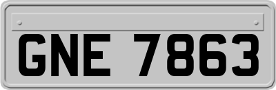 GNE7863