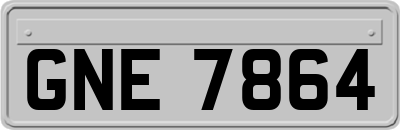 GNE7864