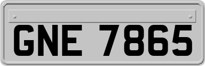GNE7865
