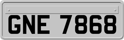 GNE7868