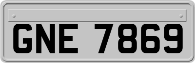 GNE7869