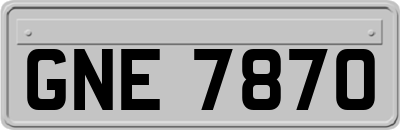 GNE7870