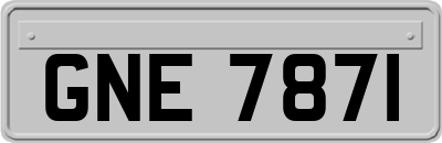 GNE7871
