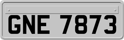 GNE7873