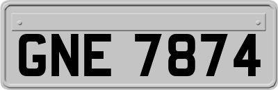 GNE7874