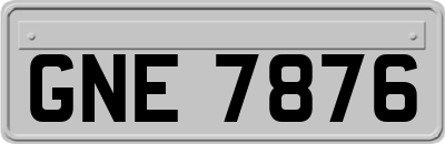 GNE7876
